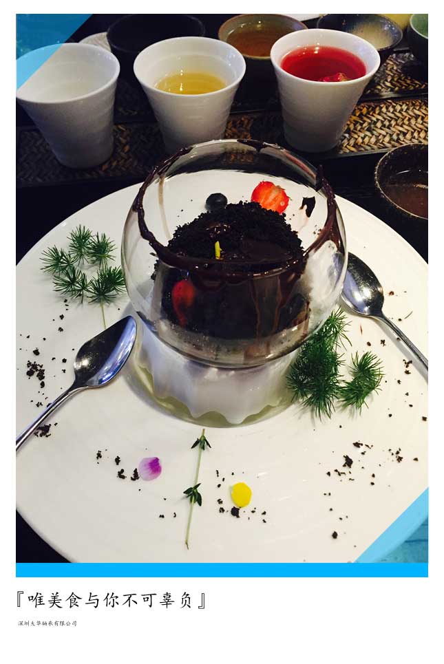 2015年第十二屆上海模型展，大華參展！